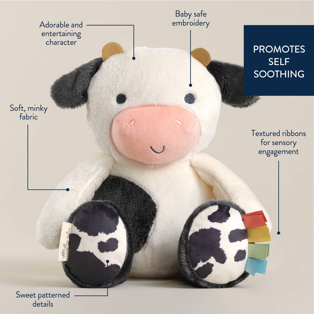 Sweetie Snuggles™ Plush